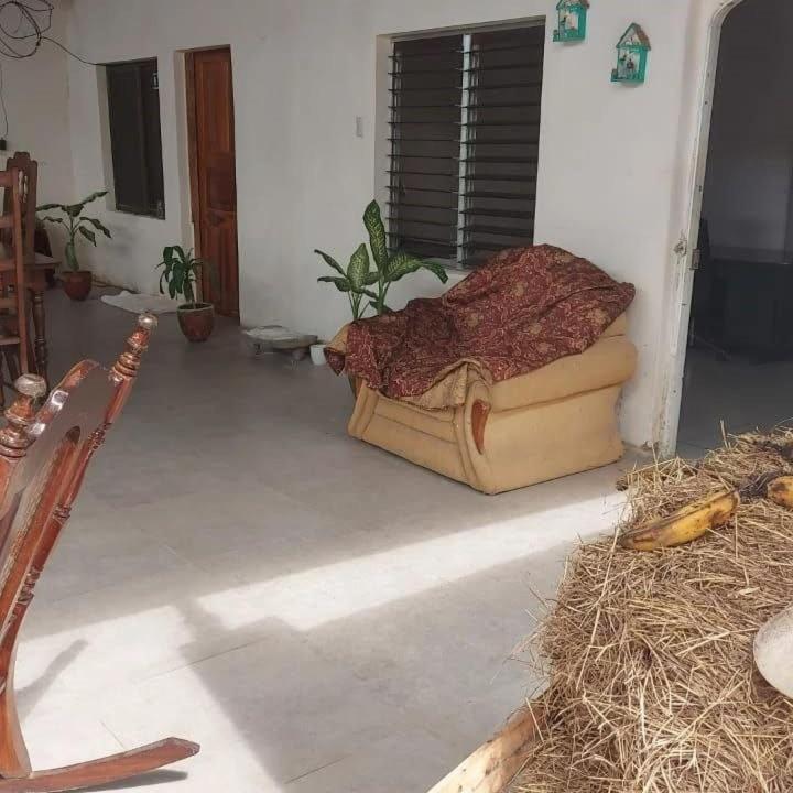 Hostal Brisas Del Ometepe Rivas Exteriér fotografie